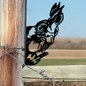 Peek-A-Boo Grumpy Chicken Metal Sign Garden Decoration