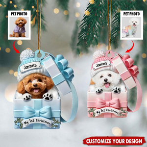 Pet Inside Gift Box - Personalized Custom Acrylic Ornament,Gift For Dog/Cat Lovers
