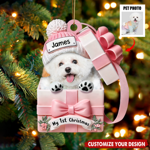 Pet Inside Gift Box - Personalized Custom Acrylic Ornament,Gift For Dog/Cat Lovers