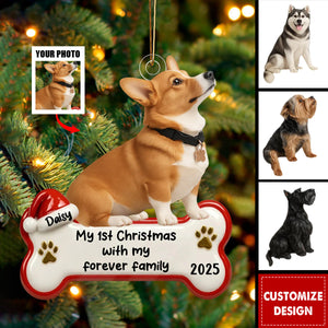 My 1st Christmas With Forever Family - Personalized Acrylic Ornament - Gifts For Dog Lovers