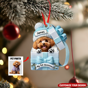 Pet Inside Gift Box - Personalized Custom Acrylic Ornament,Gift For Dog/Cat Lovers