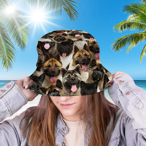 A Bunch Of Akitas Bucket Hat