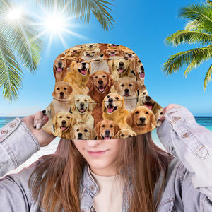 A Bunch Of Golden Retrievers Bucket Hat