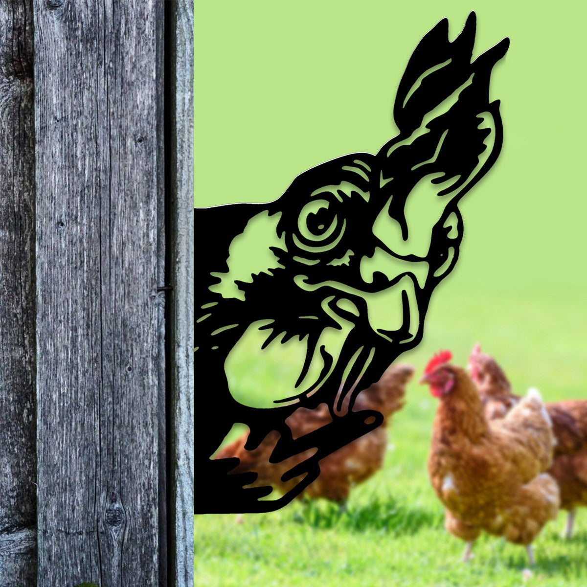 Peek-A-Boo Grumpy Chicken Metal Sign Garden Decoration