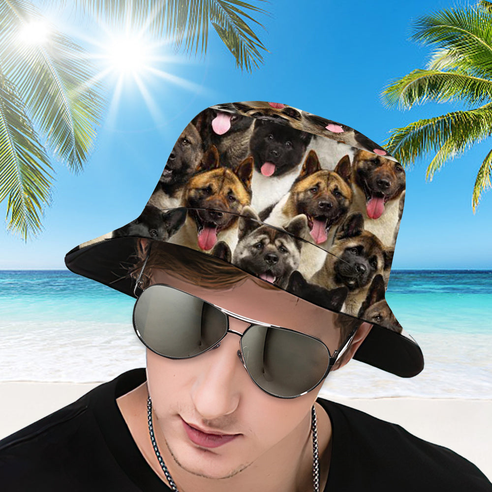 A Bunch Of Akitas Bucket Hat