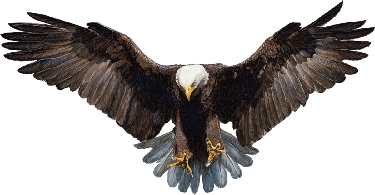 Eagle Keychain-Perfect Gift for Eagle Lover