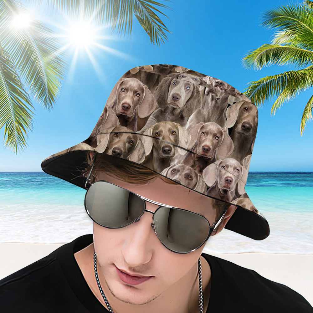 A Bunch Of Weimaraners Bucket Hat
