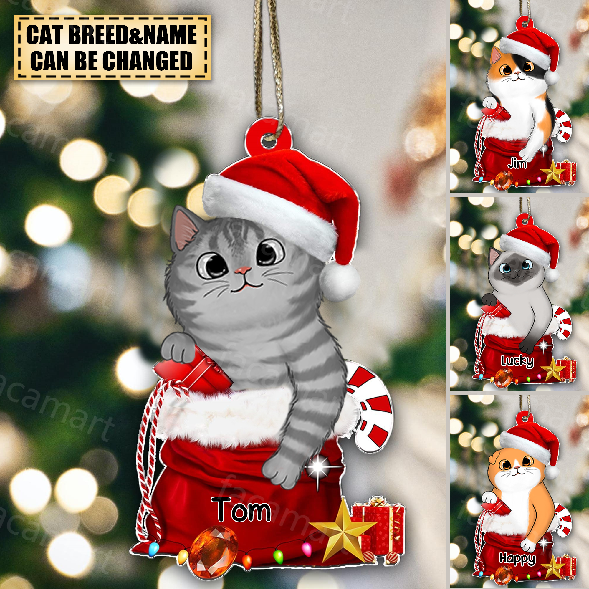 Personalized Christmas Cat Gift Ornament