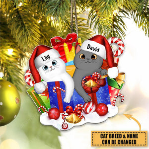 Personalized Christmas Cat Gift Ornament For Cat Lovers