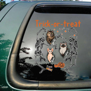 Halloween Funny Cats Personalized Car Sticker